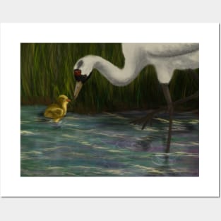 Sandhill Crane with Chick Posters and Art